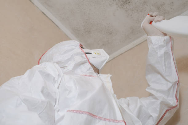 Biohazard Mold Removal in Campbellsburg, KY